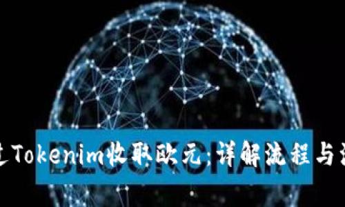 如何通过Tokenim收取欧元：详解流程与注意事项