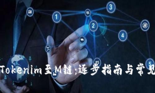 如何导入Tokenim至M链：逐步指南与常见问题解答