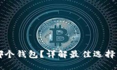 OP币放哪个钱包？详解最佳选择与安全性