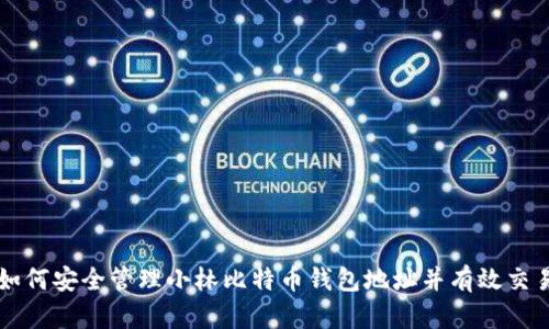 如何安全管理小林比特币钱包地址并有效交易