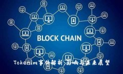 Tokenim事件解析：影响与未来展望