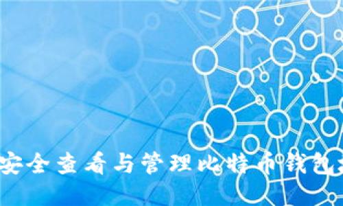 如何安全查看与管理比特币钱包地址？