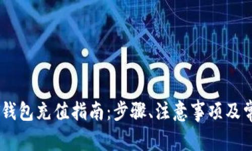 俄罗斯USDT钱包充值指南：步骤、注意事项及常见问题解析