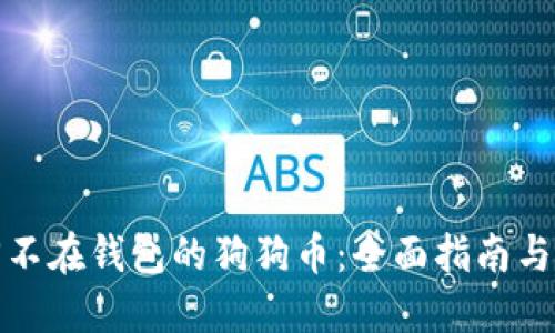 如何找回不在钱包的狗狗币：全面指南与解决方案