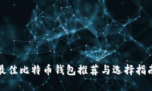 最佳比特币钱包推荐与选择指南