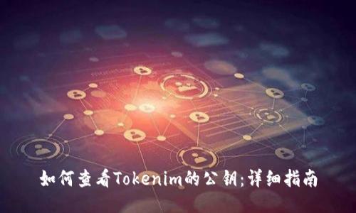 如何查看Tokenim的公钥：详细指南