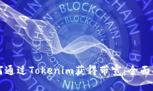如何通过Tokenim获得带宽：全面指南