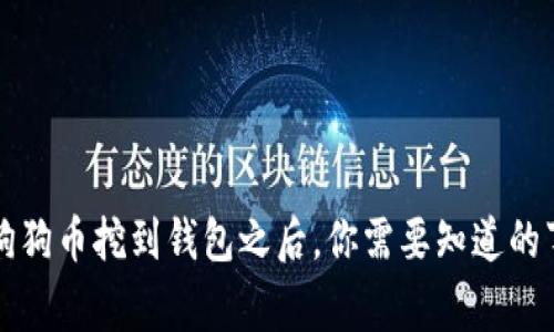 狗狗币挖到钱包之后，你需要知道的事