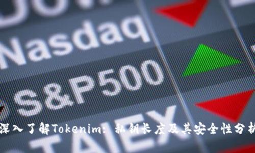 深入了解Tokenim: 私钥长度及其安全性分析
