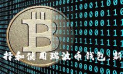 如何选择和使用瑞波币钱包：新手指南