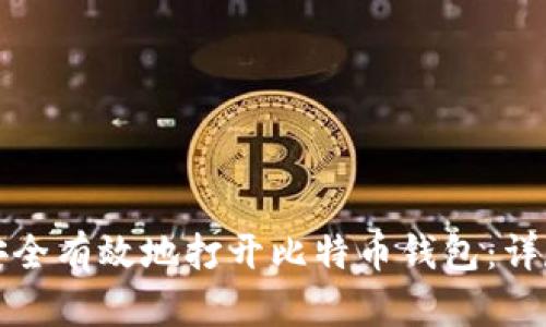 如何安全有效地打开比特币钱包：详尽指南