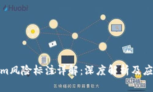 Tokenim风险标注详解：深度解析及应对策略