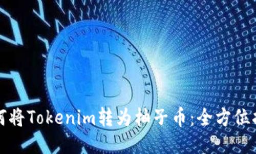如何将Tokenim转为柚子币：全方位指南