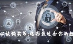 什么钱包可以放狗狗币：选择最适合你的数字货