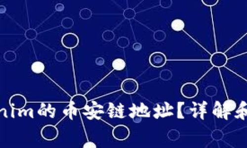 如何找到Tokenim的币安链地址？详解和常见问题解答