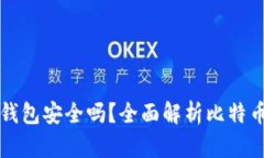 比特币不用冷钱包安全吗？全面解析比特币安全