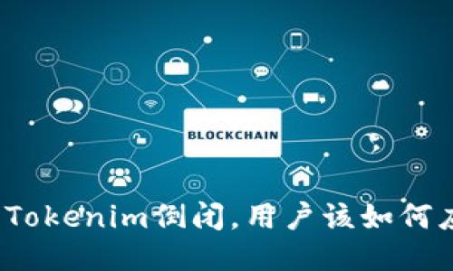 如果Tokenim倒闭，用户该如何应对？