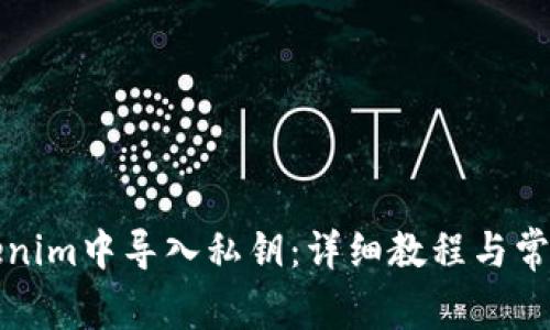 如何在Tokenim中导入私钥：详细教程与常见问题解答