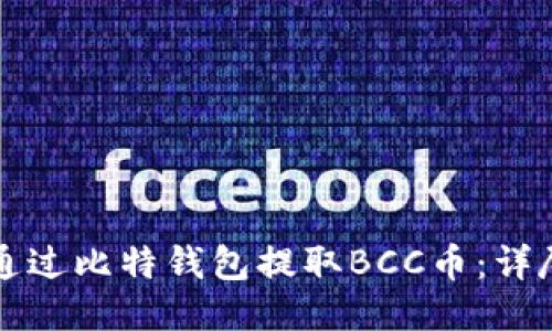 如何通过比特钱包提取BCC币：详尽指南