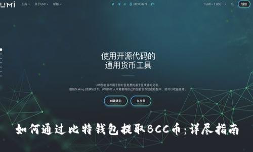 如何通过比特钱包提取BCC币：详尽指南