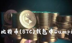 如何安全地从比特币(BTC)钱包中Dump私钥：全面指