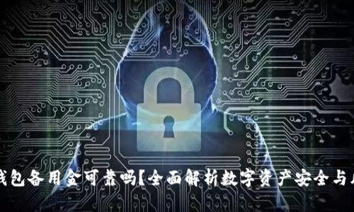 OP钱包备用金可靠吗？全面解析数字资产安全与风险
