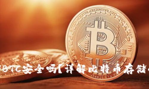 Tokenim存储BTC安全吗？详解比特币存储的风险与防护