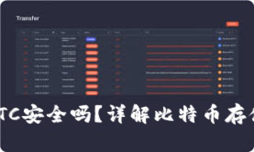 Tokenim存储BTC安全吗？详解比特币存储的风险与防护