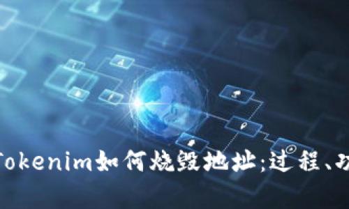 全面解析Tokenim如何烧毁地址：过程、功能与影响