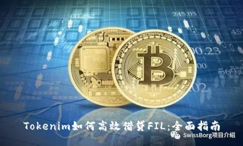 Tokenim如何高效借贷FIL：全面指南