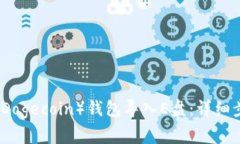 如何将狗狗币（Dogecoin）钱包导入E盘：详细步骤