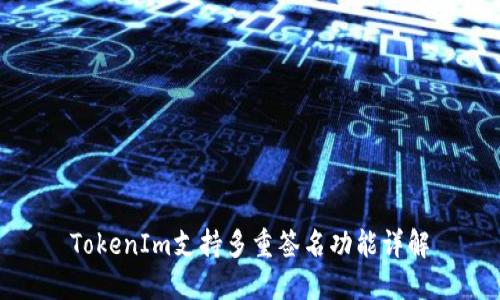 TokenIm支持多重签名功能详解