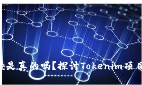 Tokenim的空投是真的吗？探讨Tokenim项目及其空投机制