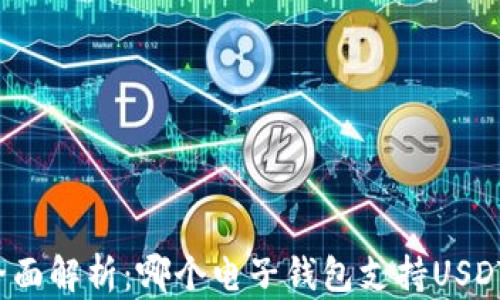 
全面解析：哪个电子钱包支持USDT？