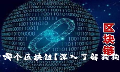 狗狗币钱包属于哪个区块链？深入了解狗狗币的生态与技术