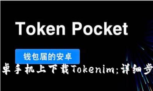 如何在国内安卓手机上下载Tokenim：详细步骤与注意事项