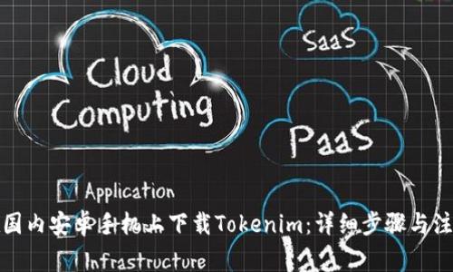 如何在国内安卓手机上下载Tokenim：详细步骤与注意事项