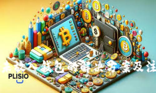 狗狗币未放入钱包的解决方案及注意事项