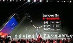 Tokenim: 是什么？探索它是否为公链的深入分析