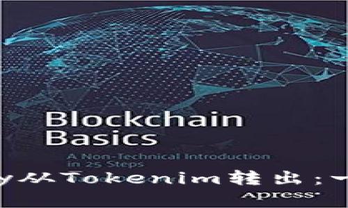 如何将Pay从Tokenim转出：一步步详解