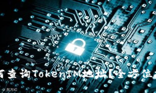 如何查询TokenIM地址？全方位指南