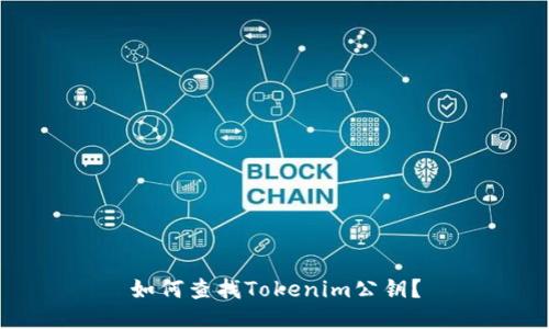 如何查找Tokenim公钥？