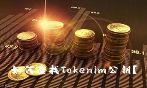如何查找Tokenim公钥？