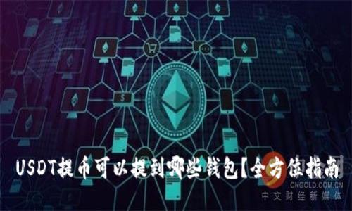 USDT提币可以提到哪些钱包？全方位指南