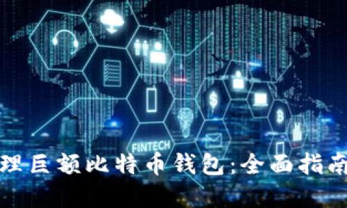 如何安全管理巨额比特币钱包：全面指南与实用策略