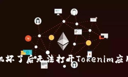 如何解决手机坏了后无法打开Tokenim应用的常见问题