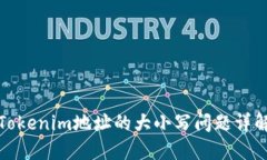 Tokenim地址的大小写问题详解