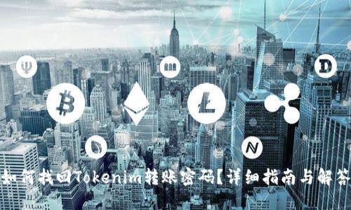如何找回Tokenim转账密码？详细指南与解答