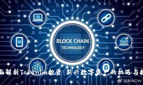 全面解析Tokenim投资：新兴数字资产的机遇与挑战