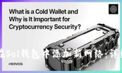 如何在Sol钱包中添加新网络：详细指南
